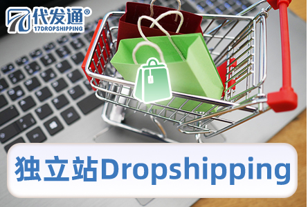 独立站Dropshipping